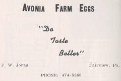 Avonia Egg Farms