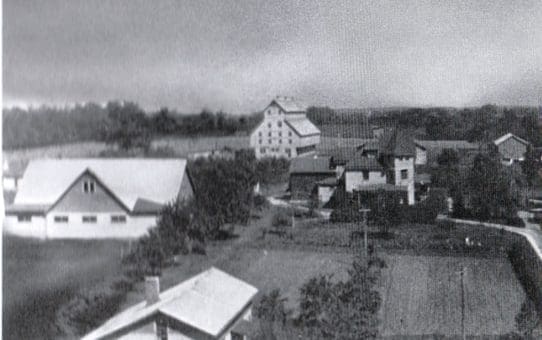 Building for Sale: Dobler Mansion