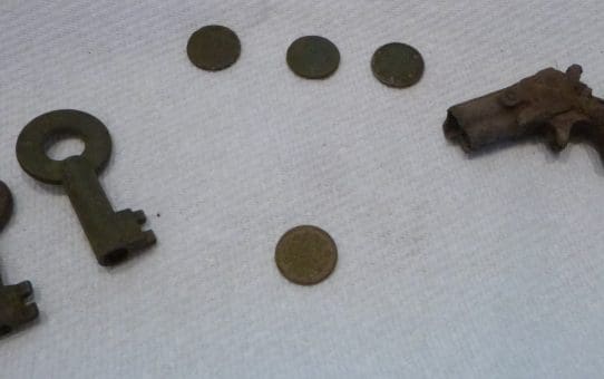 What's Happening Outside the Sturgeon House?