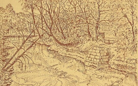 Fairview's First New Mother